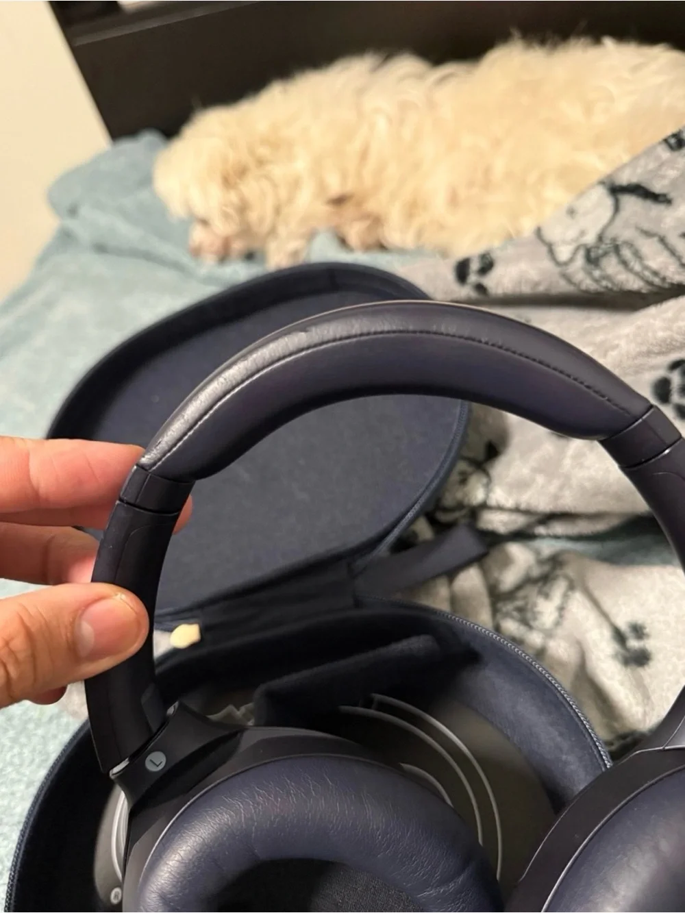 Sony Over-Ear Headphones in Dark Blue